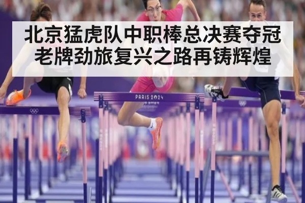 北京猛虎队中职棒总决赛夺冠老牌劲旅复兴之路再铸辉煌